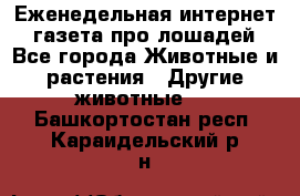 Еженедельная интернет - газета про лошадей - Все города Животные и растения » Другие животные   . Башкортостан респ.,Караидельский р-н